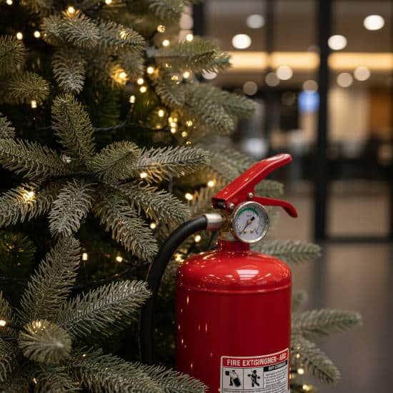 Sécurité incendie : sapin ignifugé et extincteur
