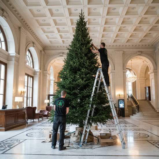 installation sapin de grande taille dans le lobby d un hotel à paris 08