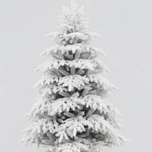 sapin nordmann retombées naturelles